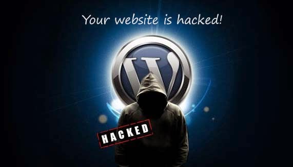 hacking from scratch by irfan shakeel software